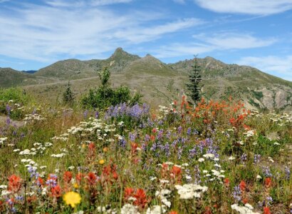 Mt. Saint Helens National Monument Day Tour