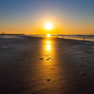 Texas Gulf Coast