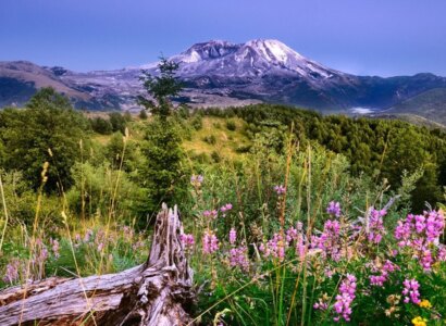 Mt. St Helens National Monument Tour from Portland - Private Tour