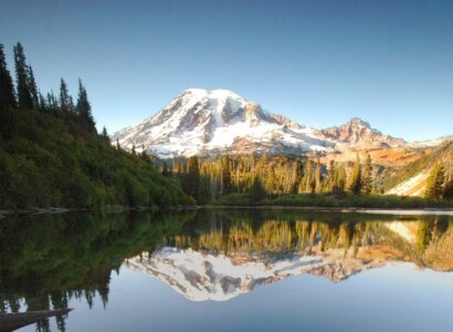 Mt. Rainier National Park Day Tour