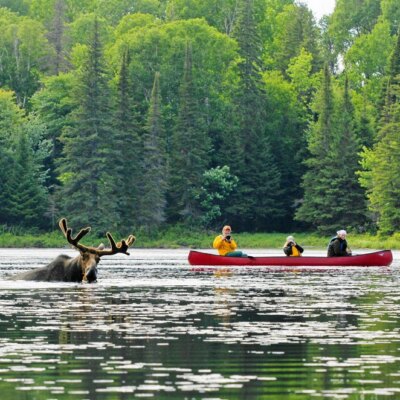 Algonquin Park & Muskoka Lakes Region