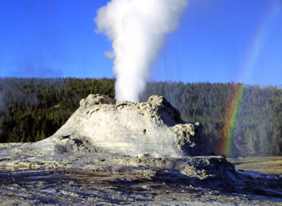 Yellowstone & The Tetons, American Safari