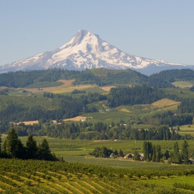 Mount Hood & Columbia River Gorge