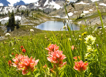 Canadian Rockies & Glacier National Park