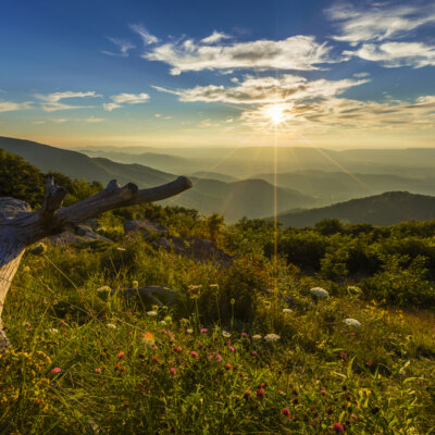 Shenandoah National Park & Luray