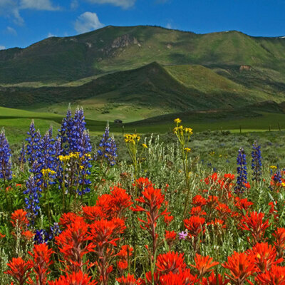 Steamboat Springs