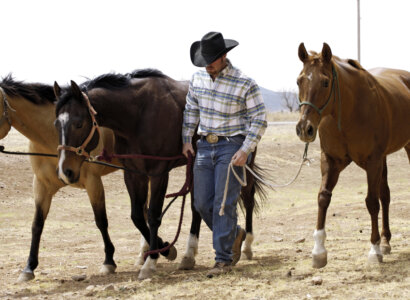 Texas Sights, Sands & Saddles