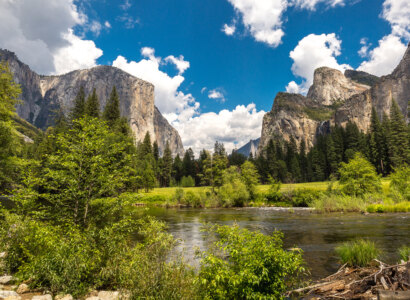 Yosemite and Sequoia: John Muir's California