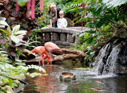 Visit Butchart Gardens, Vancouver Island