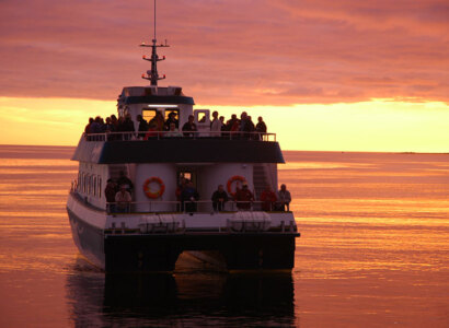 Bonne Bay Nature Cruise