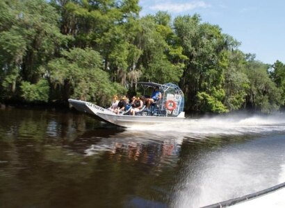 Airboat Bayou (Swamp) Tour from New Orleans