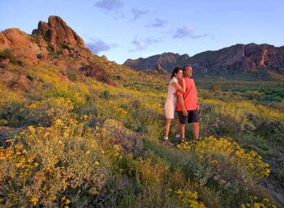 Apache Trail, Lakes, Deserts & Mountains from Scottsdale