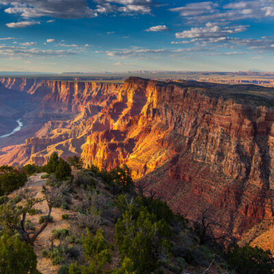 Grand Canyon & Williams