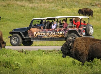 Buffalo Safari Jeep Tour & Cookout