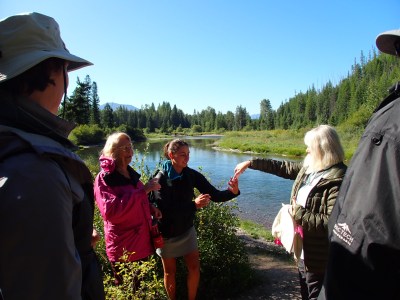 Guided Glacier National Park Nature Walk