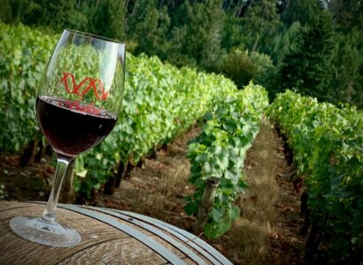 Oregon Wine Tasting Tour from Portland