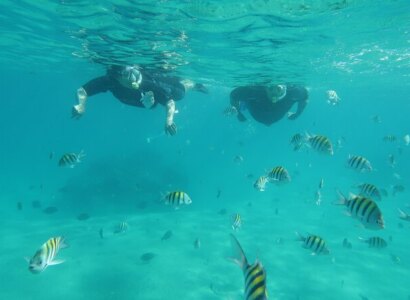 Snorkeling in Palm Beach (Private Guided Tour with Lessons)