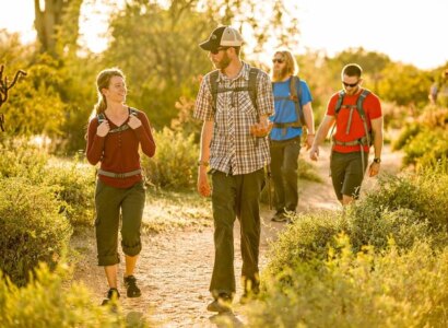 Sonoran Desert Hiking Tour from Scottsdale