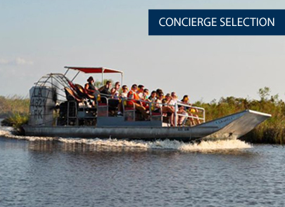 Small Group Airboat Tour of Louisiana's Ecological Wetlands