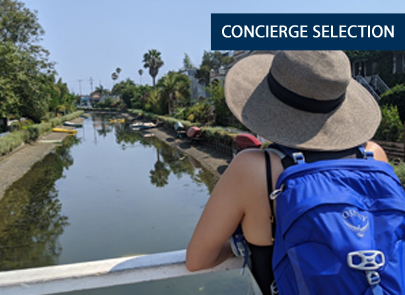 Private Walking Tour of Venice Beach