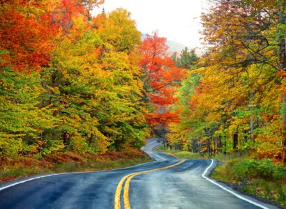 New England's Fall Foliage