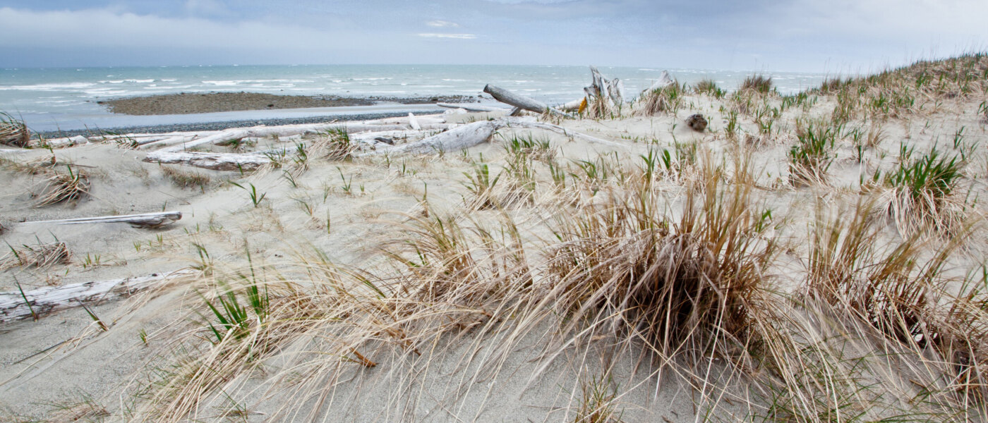 Haida Gwaii Beach - Haida House - Holidays to Northern British Columbia