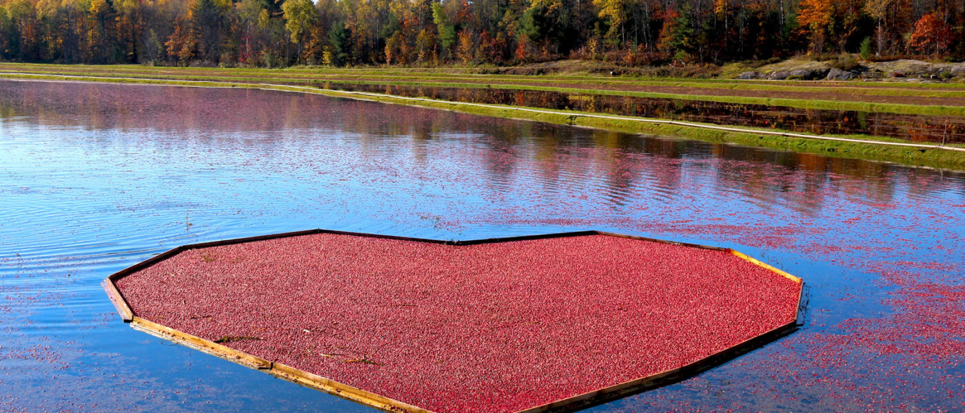 Muskoka Lakes Farm & Winery, Bog to Bottle Discovery Tour, Ontario Holiday