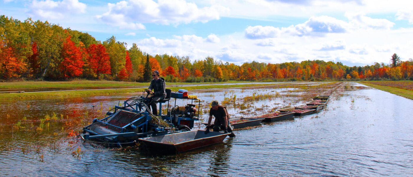 Muskoka Lakes Farm & Winery, Bog to Bottle Discovery Tour, Ontario Holiday