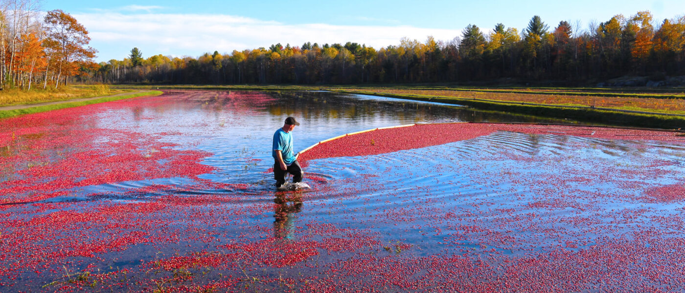 Muskoka Lakes Farm & Winery, Bog to Bottle Discovery Tour, Ontario Holiday