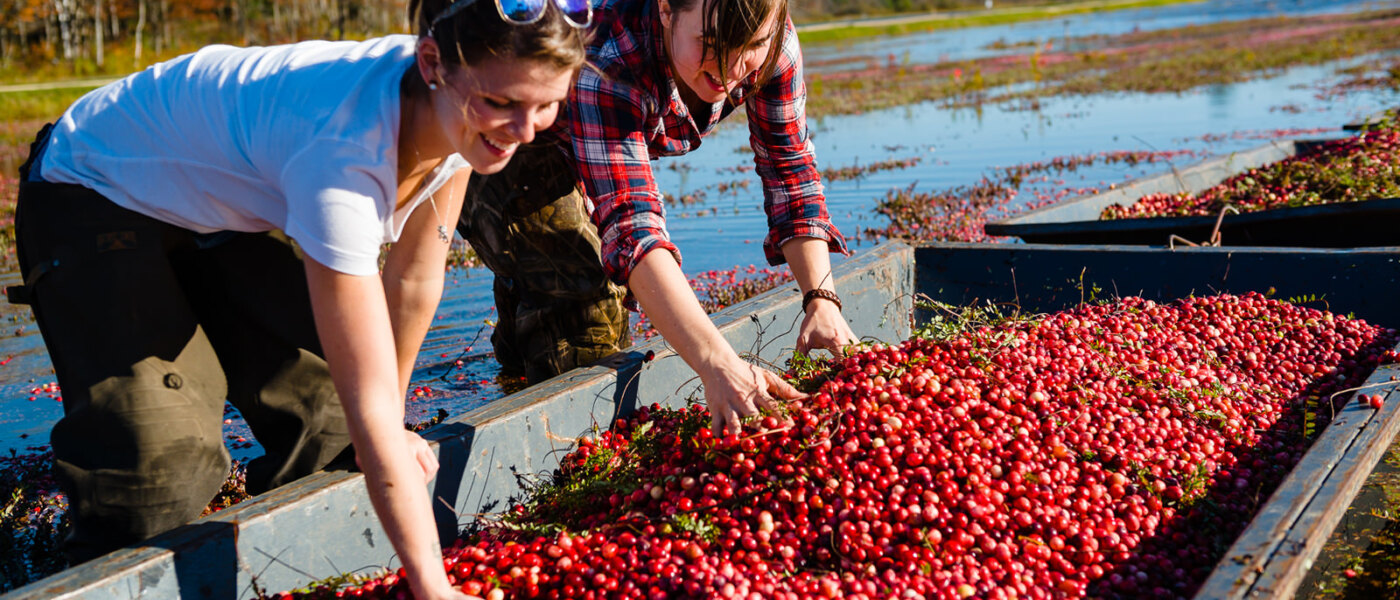 Muskoka Lakes Farm & Winery, Bog to Bottle Discovery Tour, Ontario Holiday