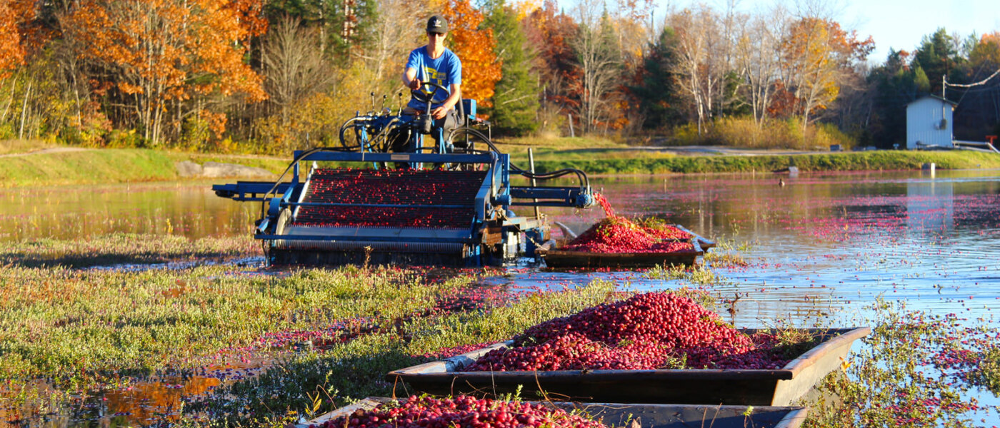 Muskoka Lakes Farm & Winery, Bog to Bottle Discovery Tour, Ontario Holiday