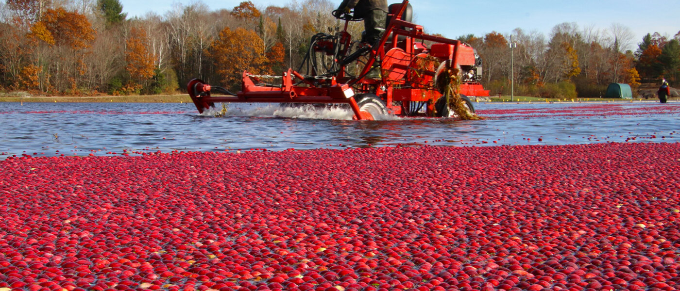 Muskoka Lakes Farm & Winery, Bog to Bottle Discovery Tour, Ontario Holiday