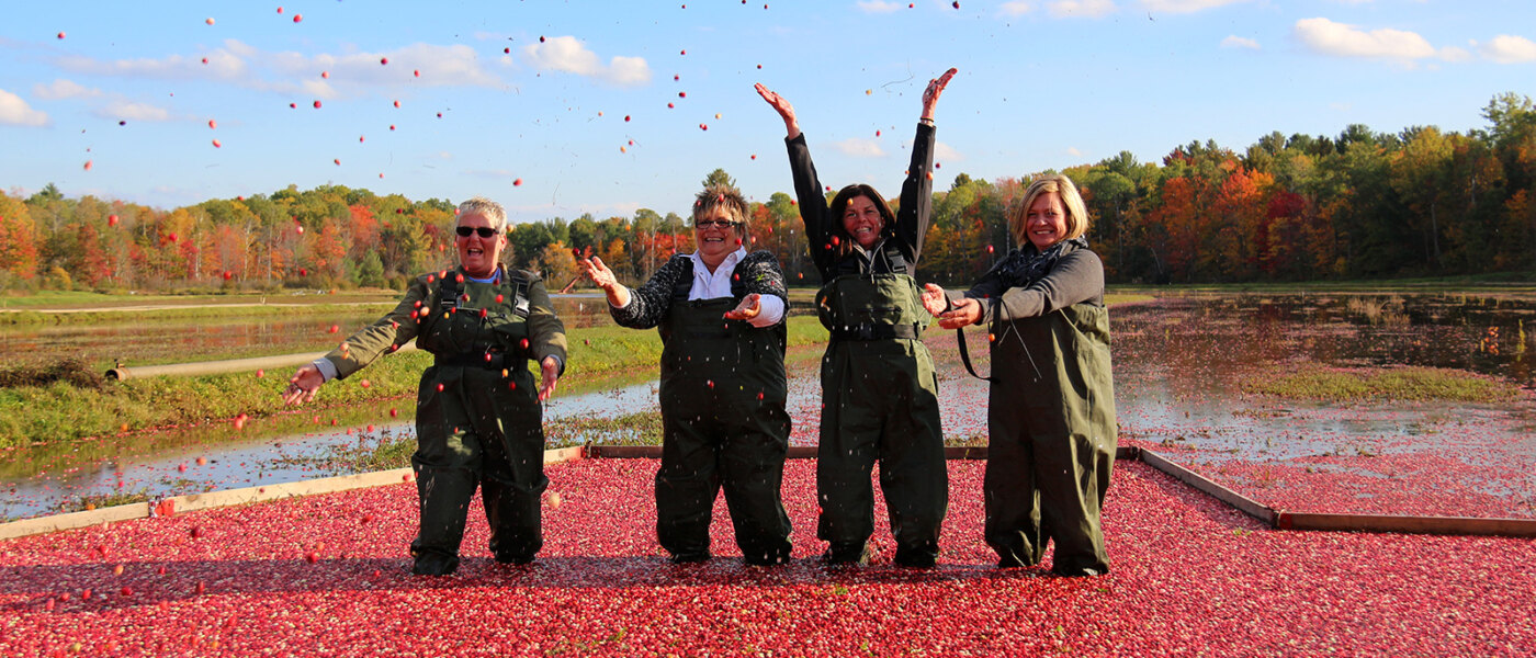 Muskoka Lakes Farm & Winery, Bog to Bottle Discovery Tour, Ontario Holiday