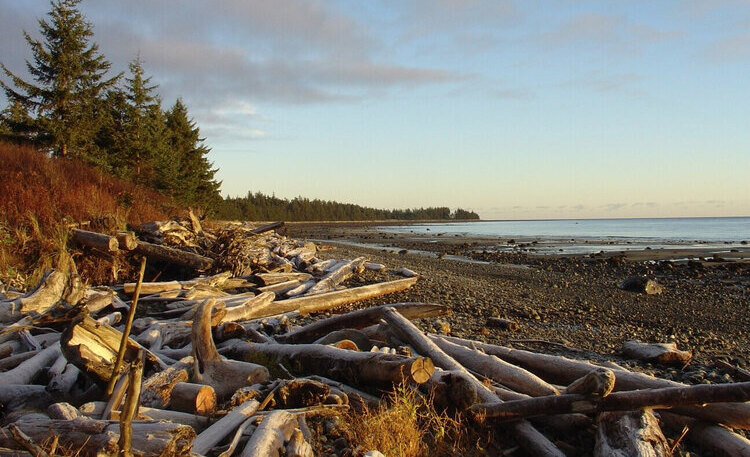 Haida Gwaii Beach - Haida House - Holidays to Northern British Columbia