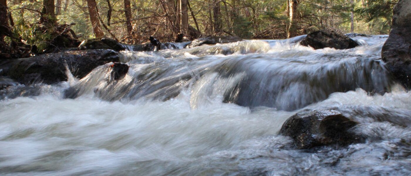 Path of the Paddle, Haliburton Canoe Experience, Ontario Holiday