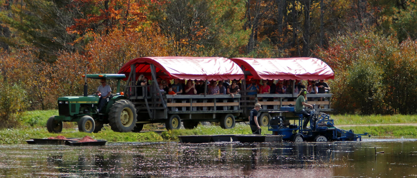 Muskoka Lakes Farm & Winery, Bog to Bottle Discovery Tour, Ontario Holiday