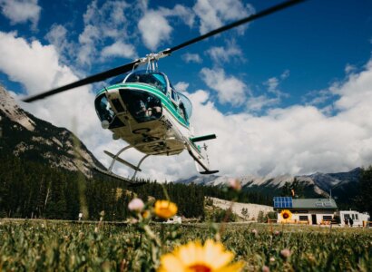 Columbia Icefield Heli Tours, from Icefield Parkway