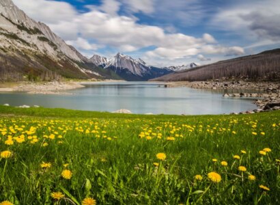 Sunrise Sightseeing & Wildlife Tour, from Jasper