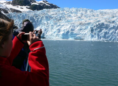 Kenai Fjords National Park Cruise from Seward