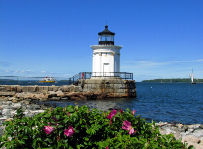 Harbour Lights and Sights Cruise from Portland