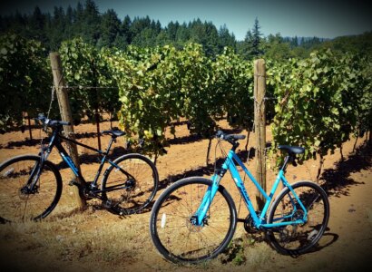 Wine de Roads Cycling Tours from Newberg