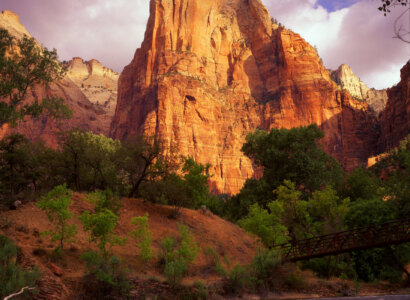 Zion National Park Tour from Las Vegas