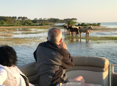 Grand Boat Tour around Chincoteague and Assateague Islands, from Chincoteague