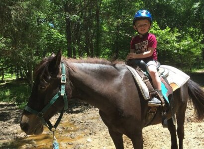 Horseback Trail Ride Tour from Memphis