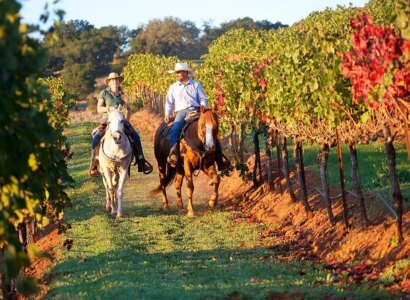 Guided Horseriding Adventure from Sedona