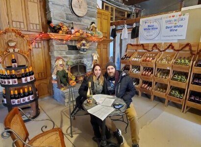 Boutique Wine Tour from Niagara Falls