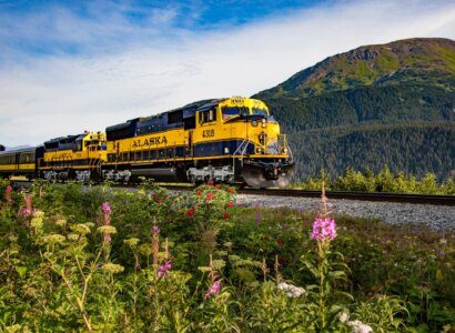 Alaska Railroad